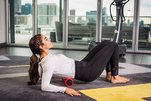 Power Plate Roller Power Plate Roller